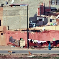 Suburban Marrakech