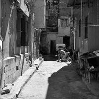Imagined Memories: Streets of Alexandria.