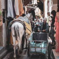 Medina - La città che vive