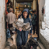 Medina - La città che vive