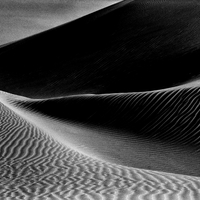 Empty Quarter