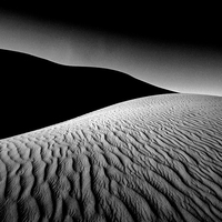 Empty Quarter