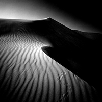 Empty Quarter