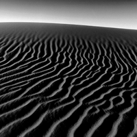 Empty Quarter