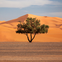 Scenic view of desert against sky