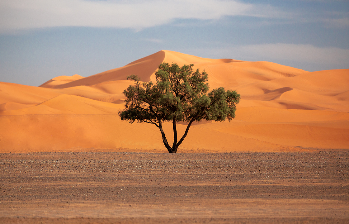 Scenic view of desert against sky