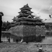 Whispers of History: Feeding Pigeons in the Shadow of Matsumoto Castle