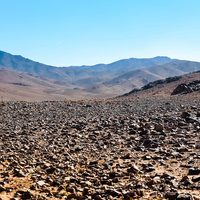 Adrar, où les moutons rassemblent les humains.