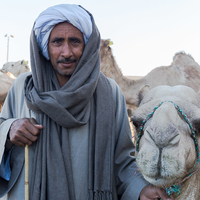 Camel herder