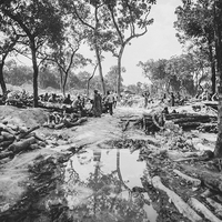 L'odeur de l'or et du sang. Orpailleurs de Guinée.