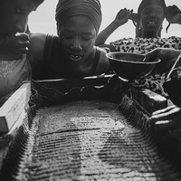 L'odeur de l'or et du sang. Orpailleurs de Guinée.