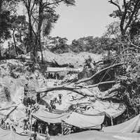 L'odeur de l'or et du sang. Orpailleurs de Guinée.