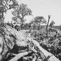 L'odeur de l'or et du sang. Orpailleurs de Guinée.