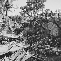 L'odeur de l'or et du sang. Orpailleurs de Guinée.