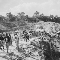 L'odeur de l'or et du sang. Orpailleurs de Guinée.