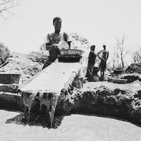 L'odeur de l'or et du sang. Orpailleurs de Guinée.