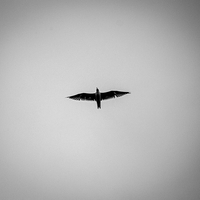 Refraction