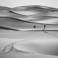The Guardians of the Desert