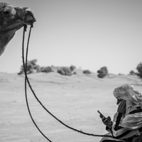 The Guardians of the Desert