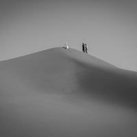 The Guardians of the Desert