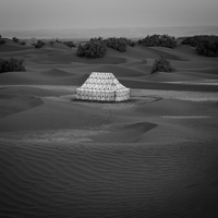 The Guardians of the Desert