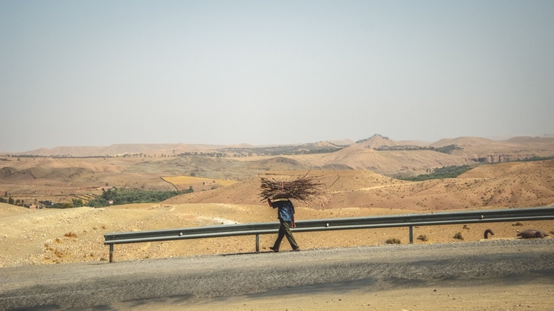 Weight of the Land