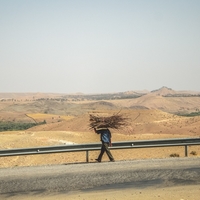 Weight of the Land