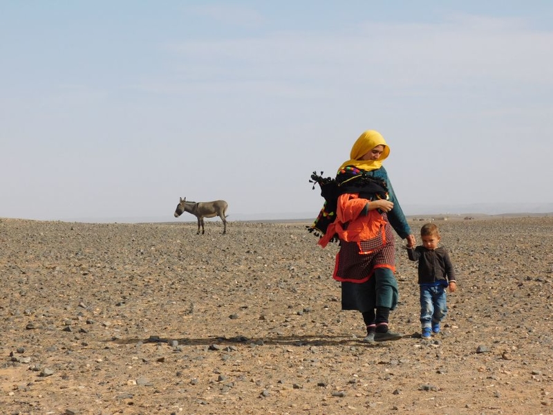 MAGHREBI HORIZONS