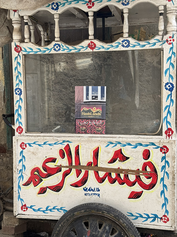 Let’s Roll? / نِلف؟