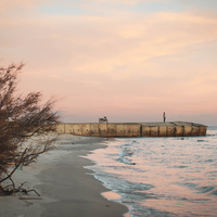 Down by the Sea