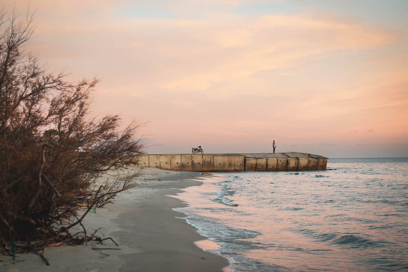 Home by the Sea