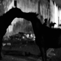 Essaouira pour toujours 