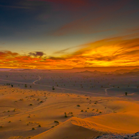 Silence of Fire