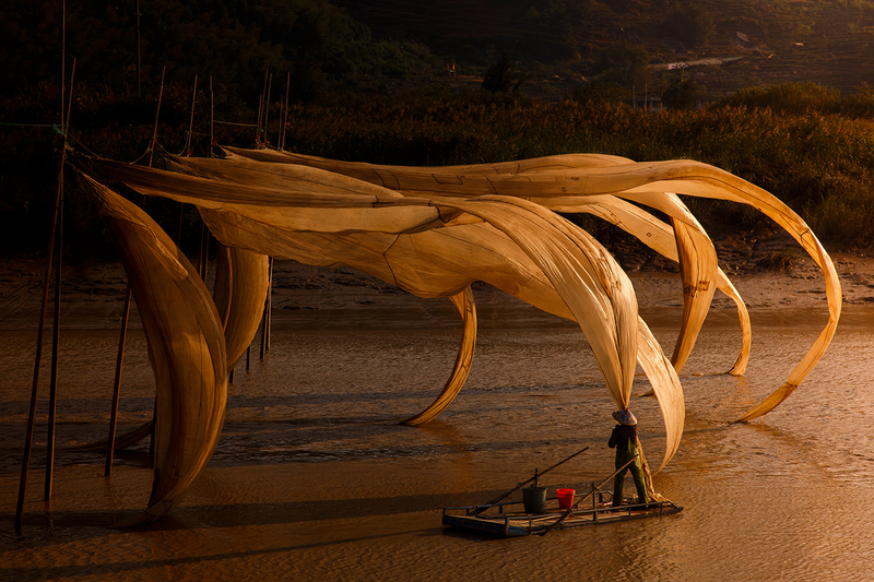the Dragon's Claw