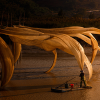 the Dragon's Claw