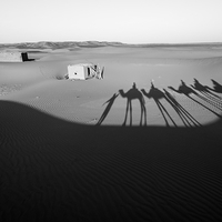Série en nior et blanc