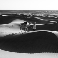 Série en nior et blanc