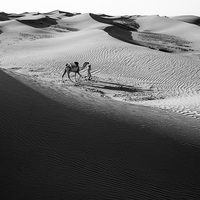 Série en nior et blanc