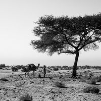 Série en nior et blanc
