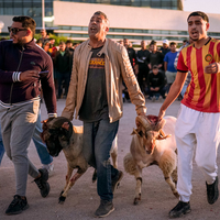 Béliomachie en Tunisie