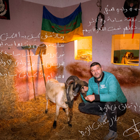 Béliomachie en Tunisie