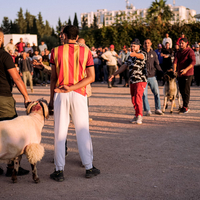 Béliomachie en Tunisie