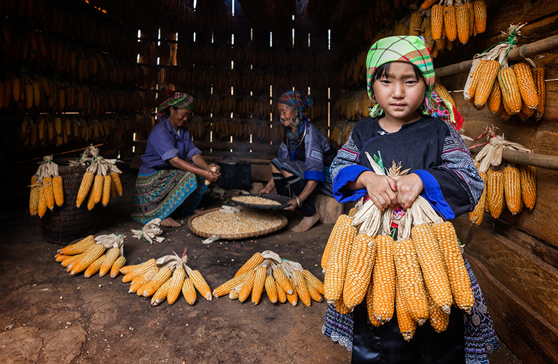 Farmers Vietnam