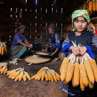 Farmers Vietnam