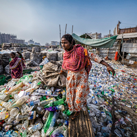 Plastic waste collection