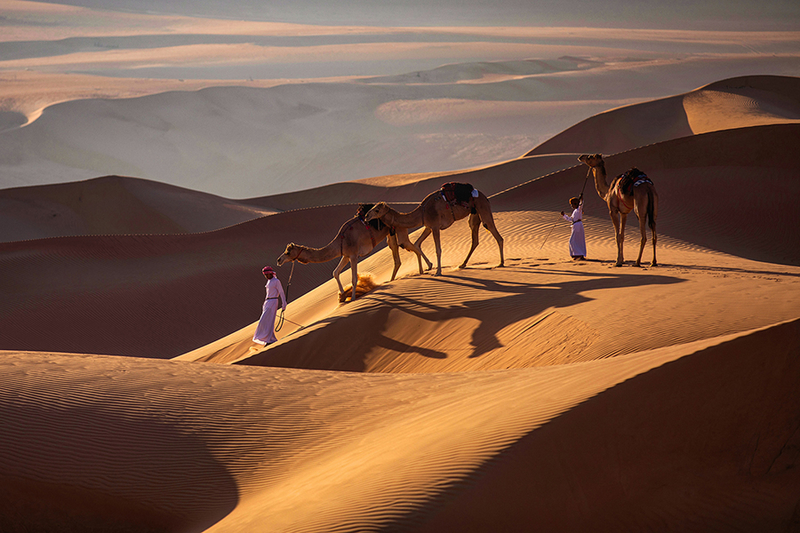 Badia Desert