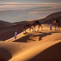 Badia Desert