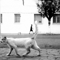 figurants