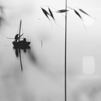 ​