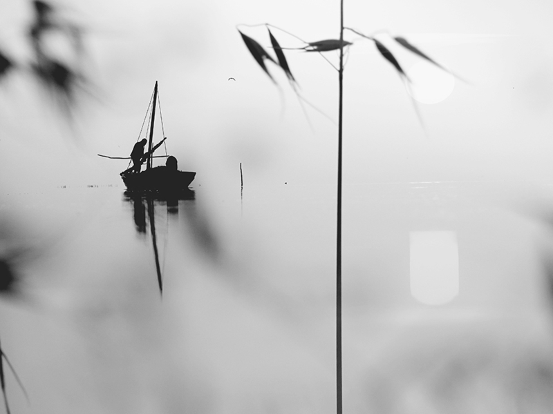 ​